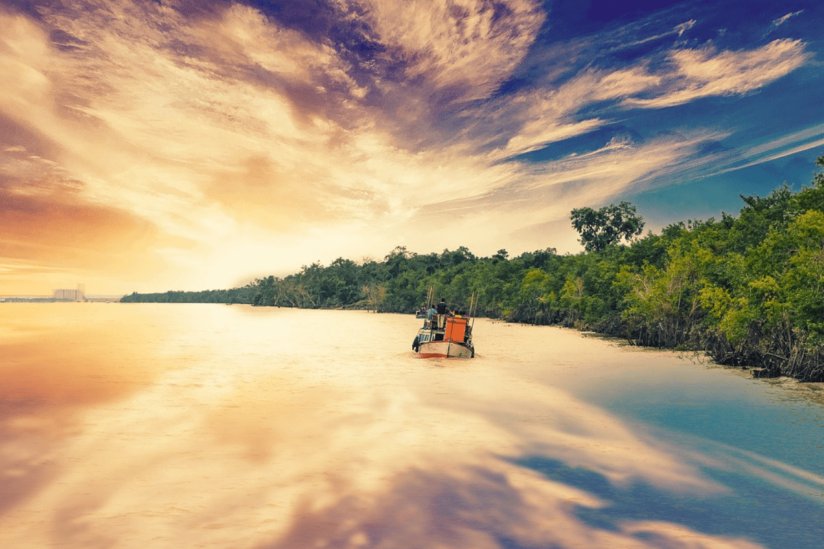 Sundarbans Mangrove Adventure